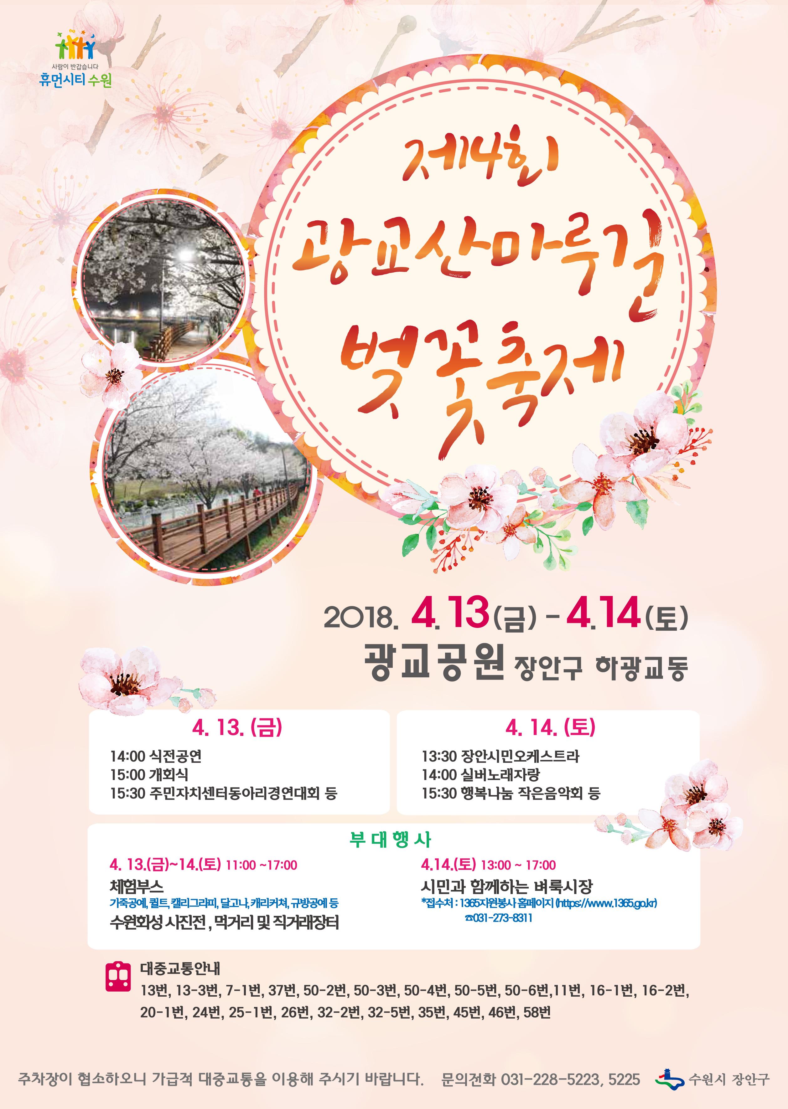 광교산마루길 벚꽃 축제